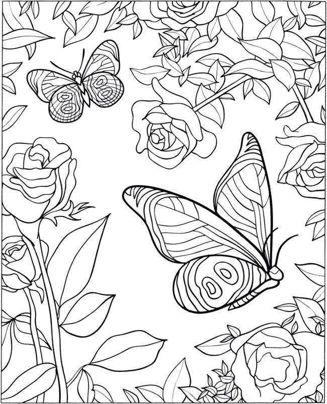 650x804 Butterfly Coloring Pages For Adults Plus D Coloring Book