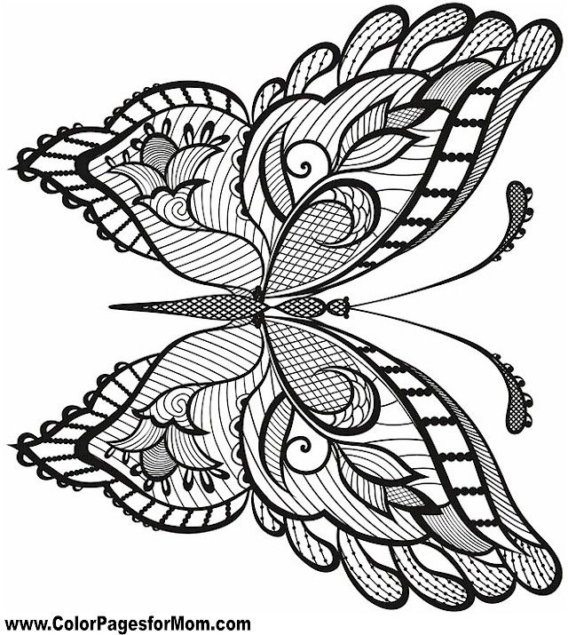 640x715 Butterfly Coloring Page Butterflies To Color