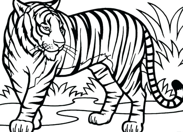 600x434 Detroit Tigers Coloring Pages Free Kids Coloring Intricate Cat