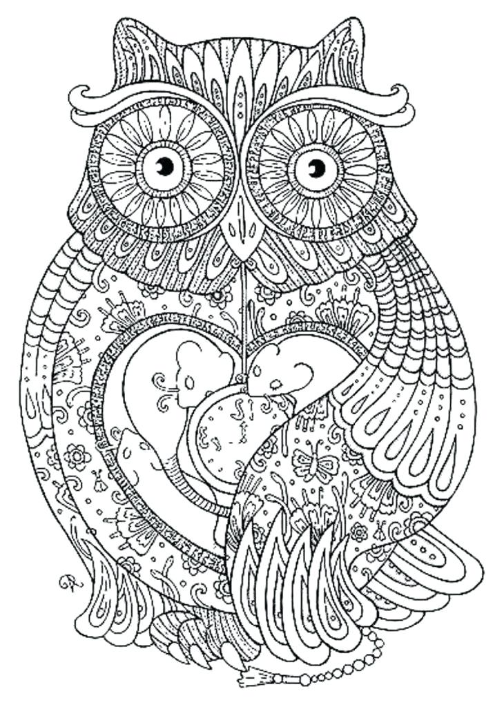 730x1024 Intricate Coloring Pages Intricate Coloring Pages Capture