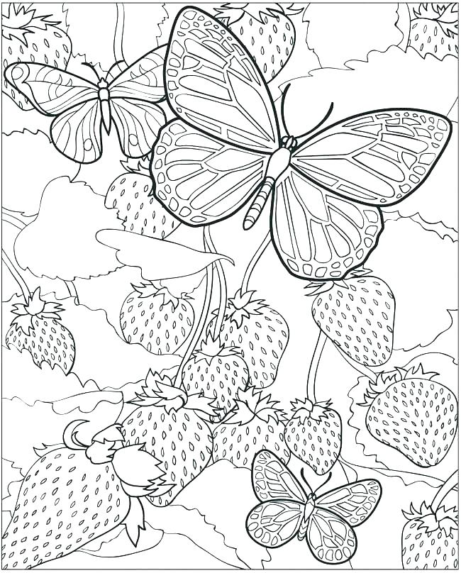 650x808 Elegant Detailed Coloring Pages Printable Or Extraordinary Design