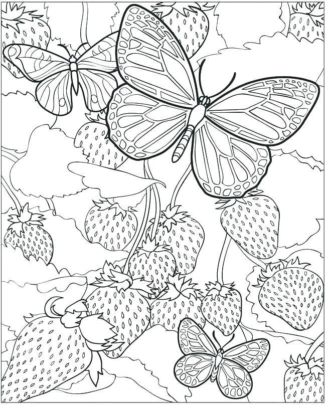 650x808 Intricate Coloring Pages Printable