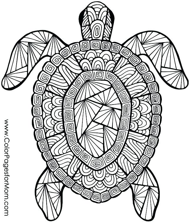 640x755 Coloring Pages For Animals Intricate Coloring Pages Animals