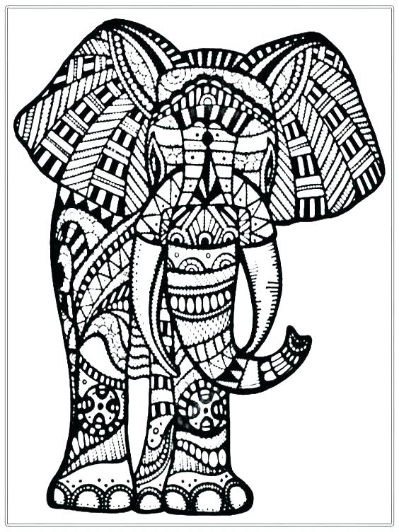 564x752 Elephant Coloring Pages Elephants Coloring Pages Coloring Pages