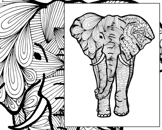 570x457 Elephant Coloring Sheet Animal Coloring Pdf Zentangle Adult