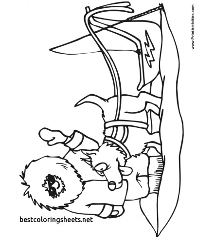 405x500 Inspirational Sled Dogs Coloring Pages Best Coloring Pages