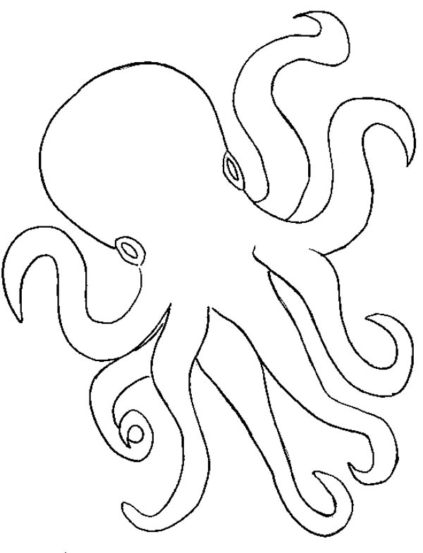 600x784 Octopus Outline Coloring Page Color Luna
