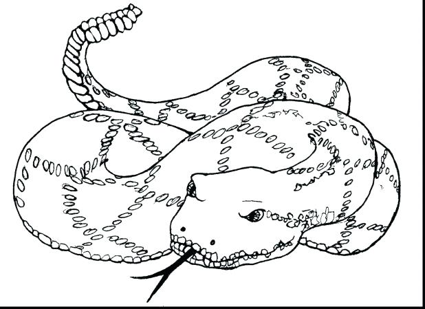618x449 Snake Eyes Coloring Pages Dogs With Big Eye Girl Easy Big