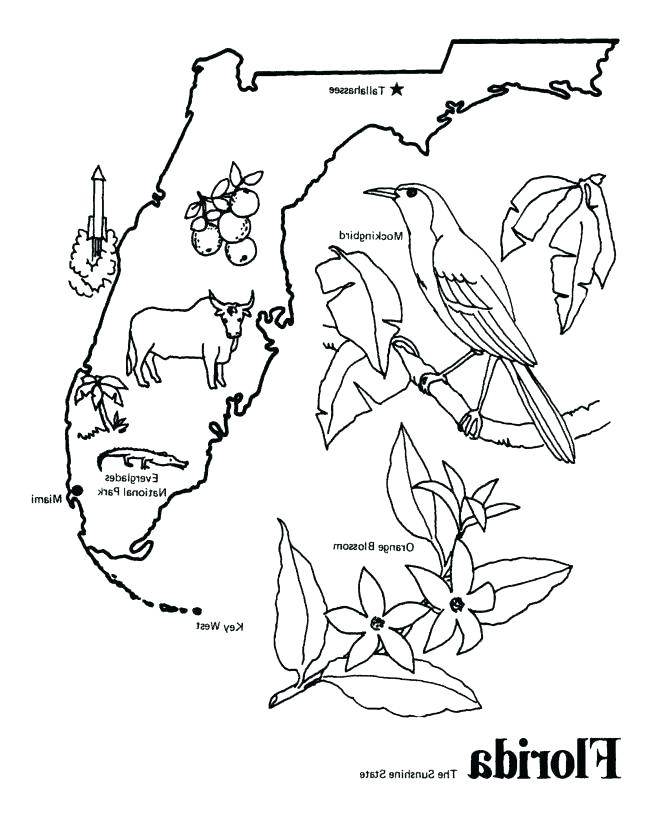 670x820 State Coloring Pages