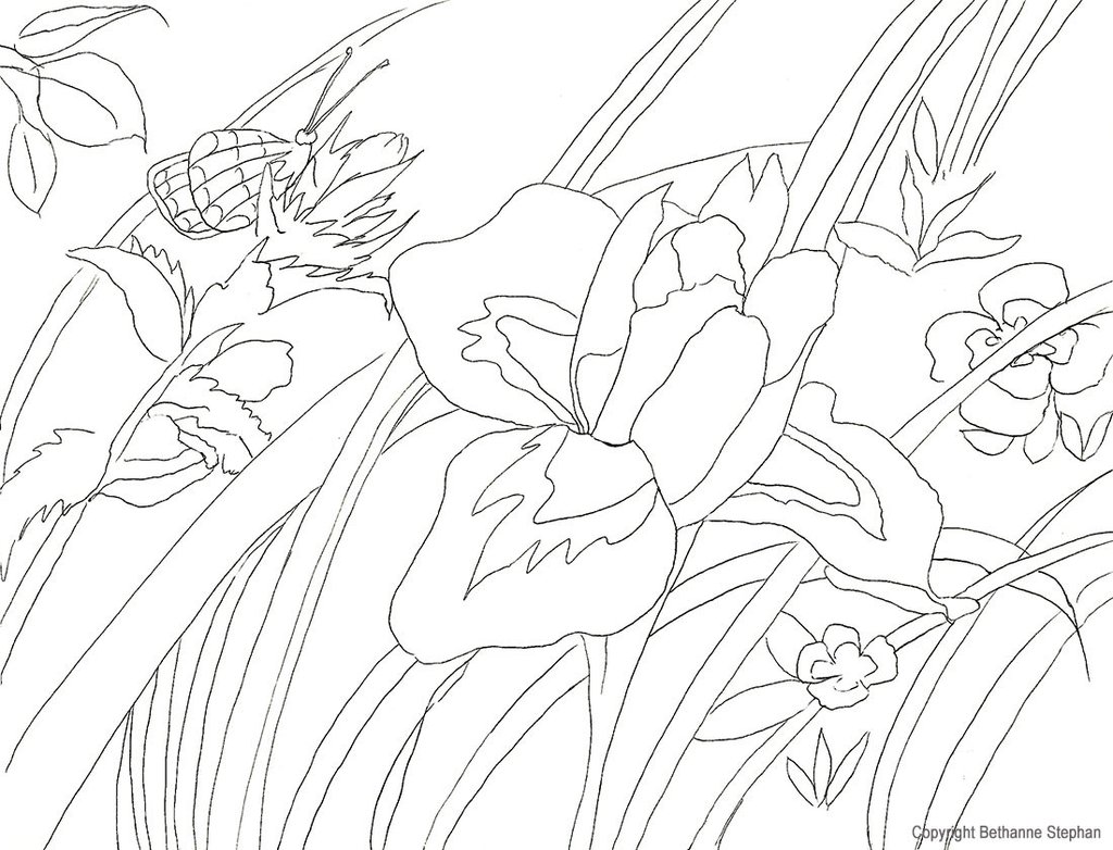 1024x782 Coloring Pages Natural Artist