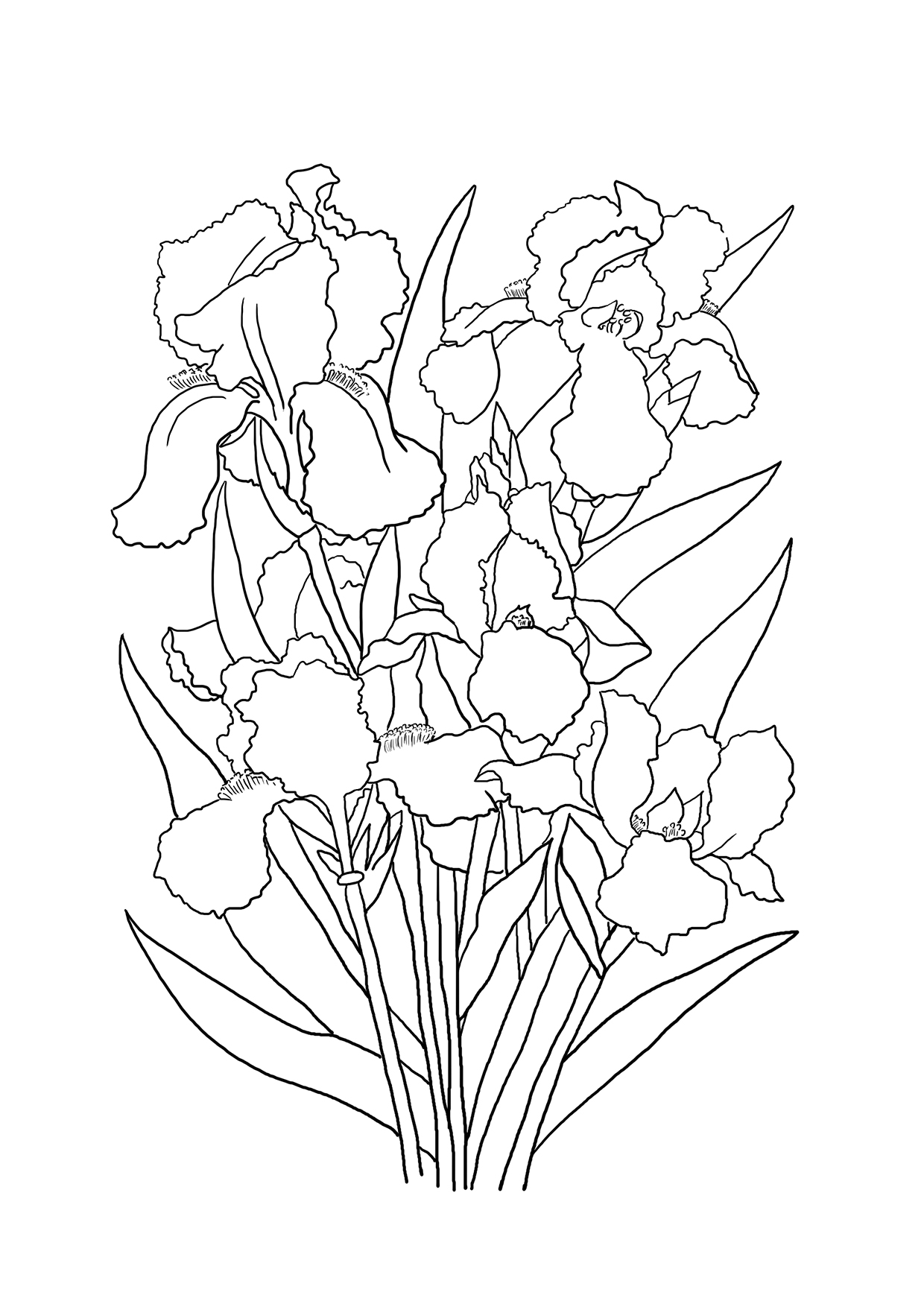 1240x1754 Flower Coloring Pages