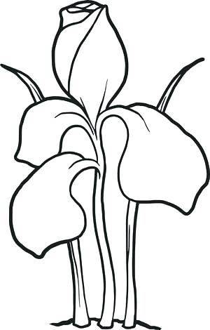 300x470 Free Flower Coloring Sheets Pages Also Garden