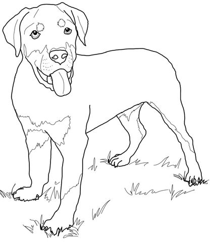 416x480 Rottweiler Puppy Coloring Page Dog Art Rottweiler