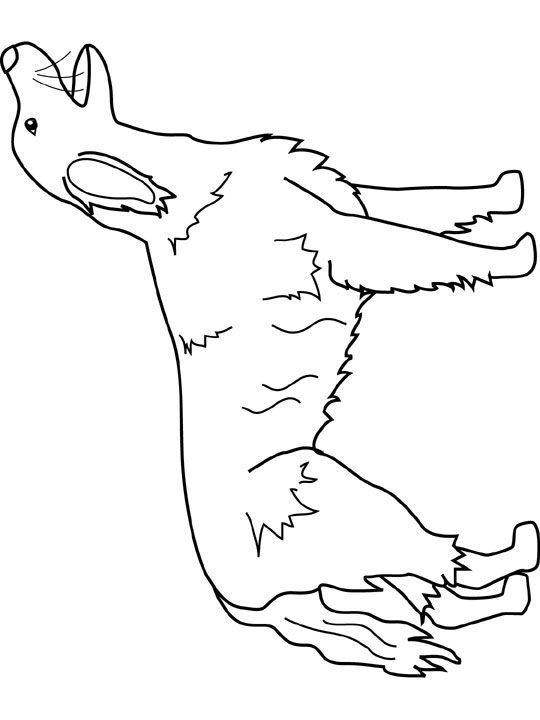 540x720 Dog Color Pages Printable Dogs Coloring Pages Irish Setter