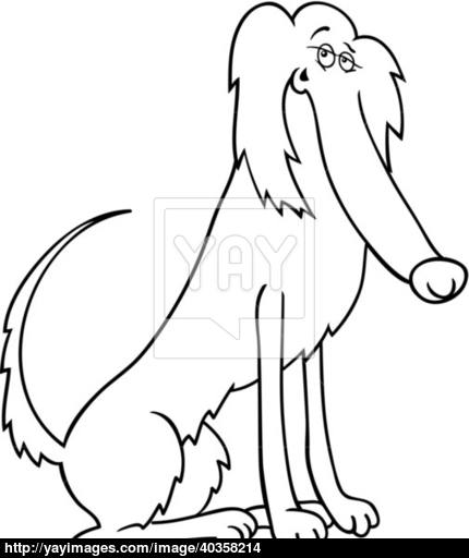 430x512 Irish Setter Dog Cartoon For Coloring Book Vector