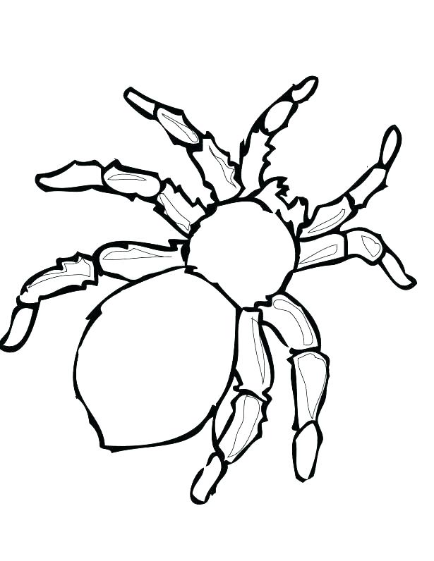 615x796 Spider Coloring Pages Black Widow Spider Coloring Page Iron Spider