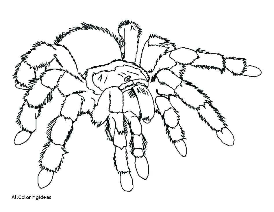 948x733 Spider Coloring Picture Iron Spider Coloring Pages Iron Spider