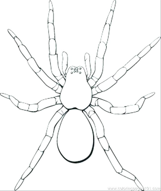 650x770 Iron Spider Coloring Pages Coloring Pages Medium Size Of Coloring