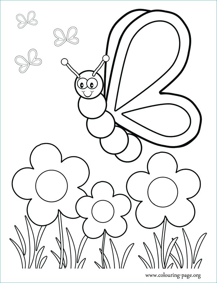 700x912 Cute Little Chick And Flower Spring Animal Coloring Pages Spring