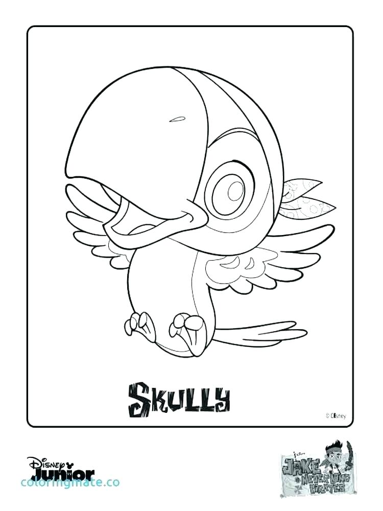 750x1000 The Pirates Coloring Page Pirate Party Peter Pan And The Pirates