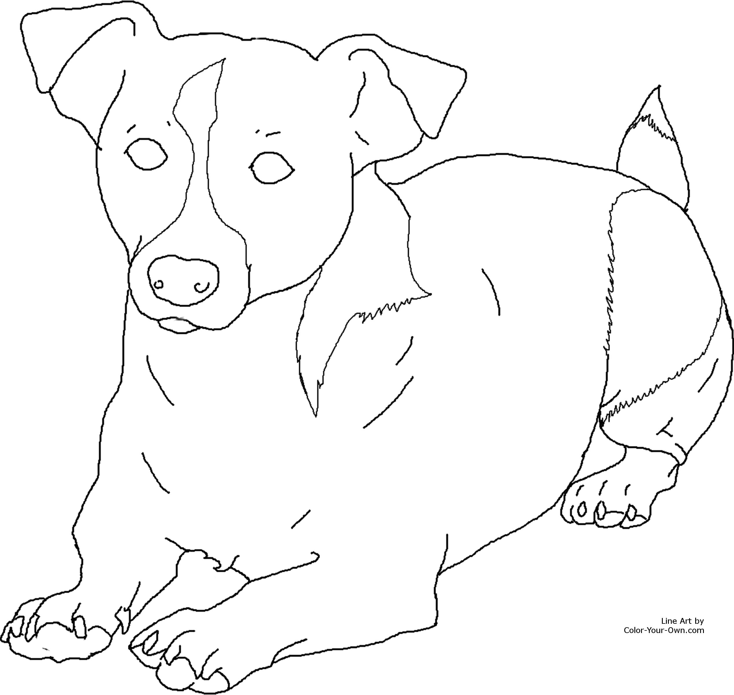 2535x2400 Image Result For Coloring Pages Jack Russell Puppy's Art