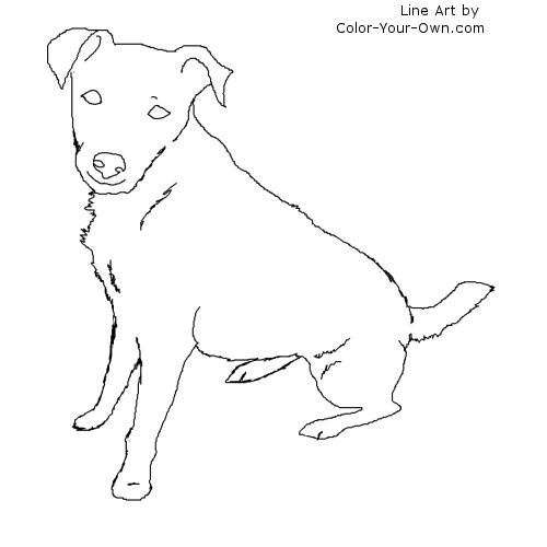 500x500 Sitting Jack Russell Terrier Dog Coloring Page