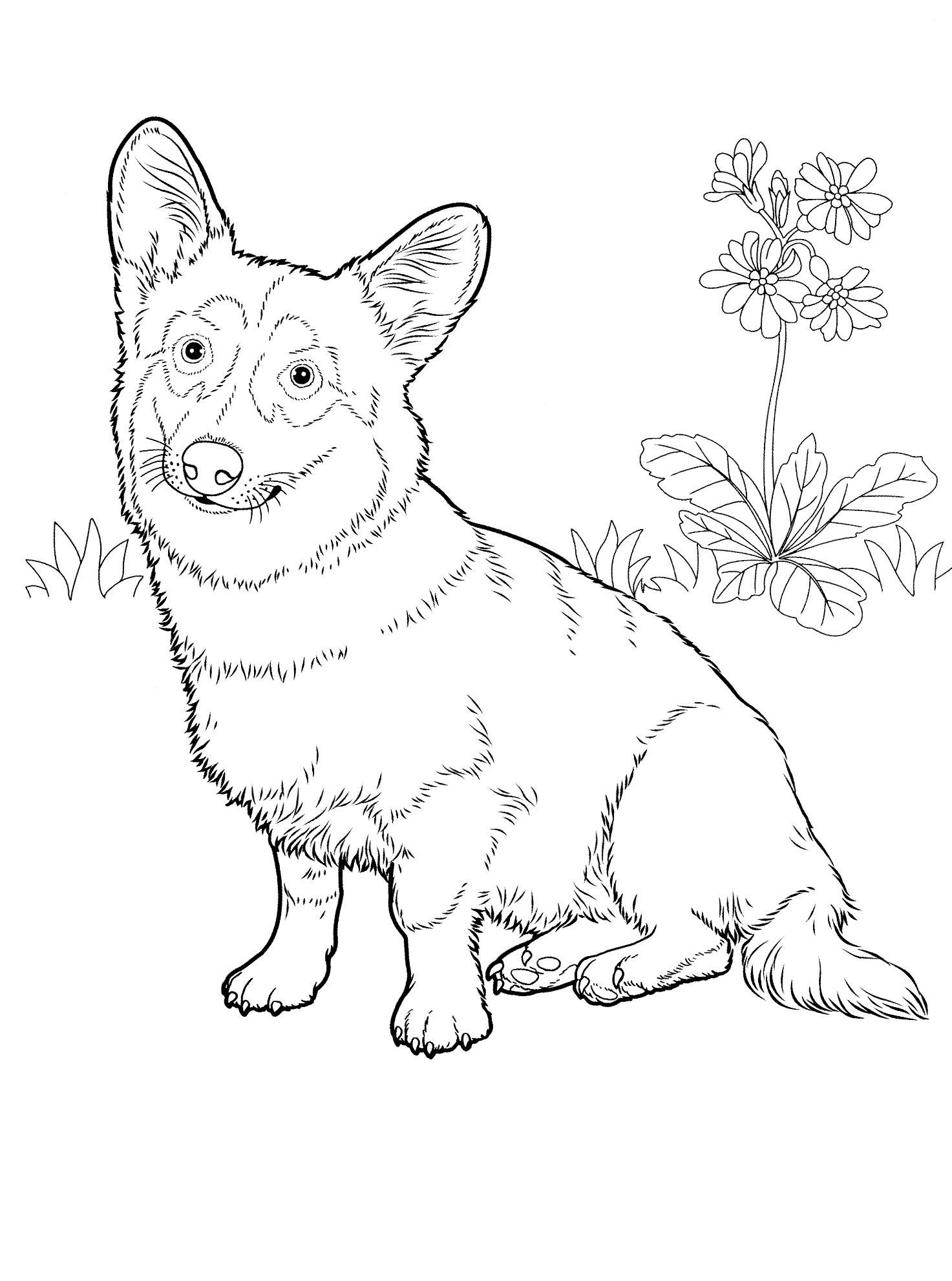 1473x1983 Dog Coloring Pages Teenagers Coloring Pages Adult Coloring