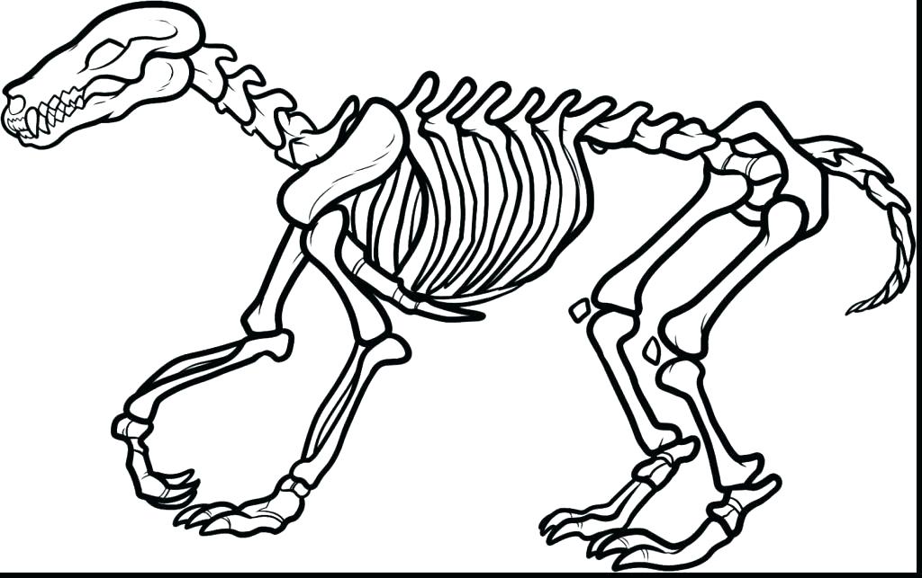 1024x643 Jack The Pumpkin King Coloring Pages Skeleton Coloring Pages Jack