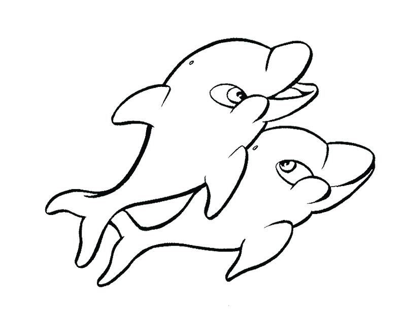800x661 Dolphin Tale Coloring Pages Winter The Dolphin Coloring Pages