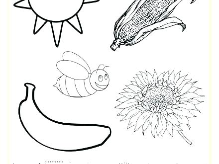 440x330 Yellow Coloring Page