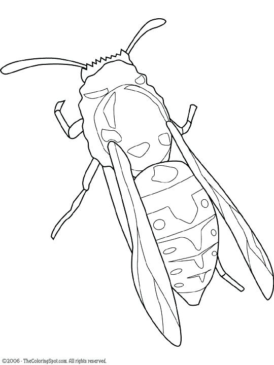 540x720 Yellow Jacket Coloring Page