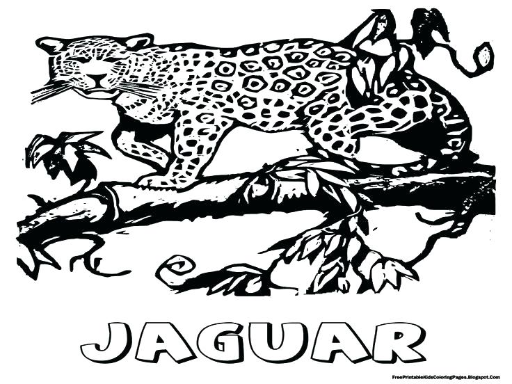 Jacksonville Jaguars Coloring Pages at GetDrawings | Free download