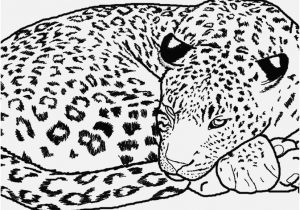 300x210 Jaguar Coloring Pages Picture Jaguar Coloring Pages To And Print