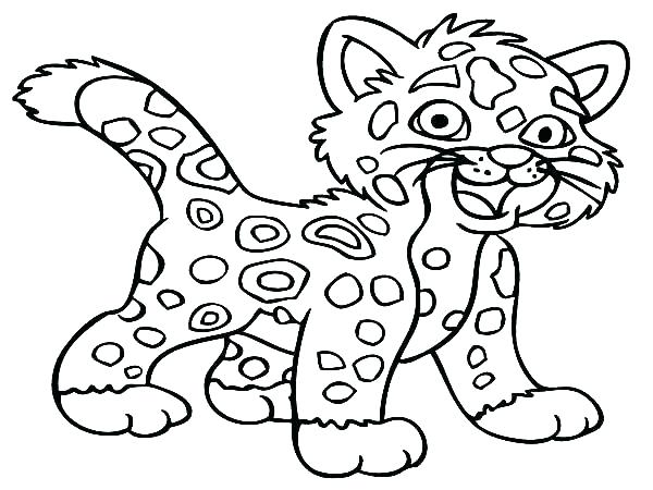 600x450 Baby Jaguar Printable Coloring Pages