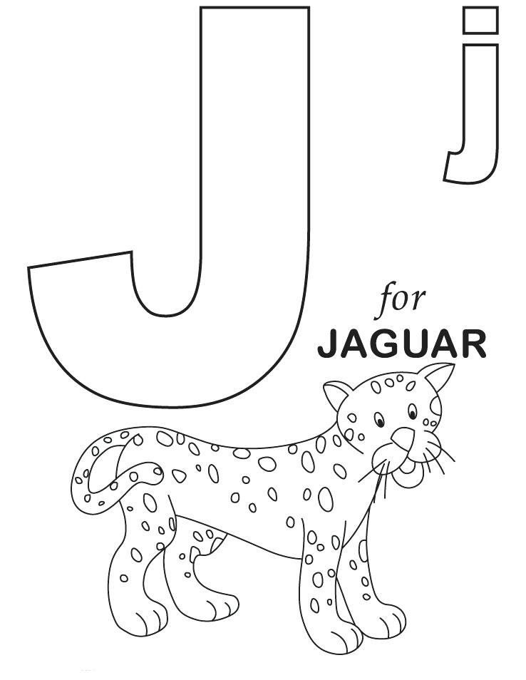 738x954 Jaguar Animal Pictures Color Jaguar Pictures