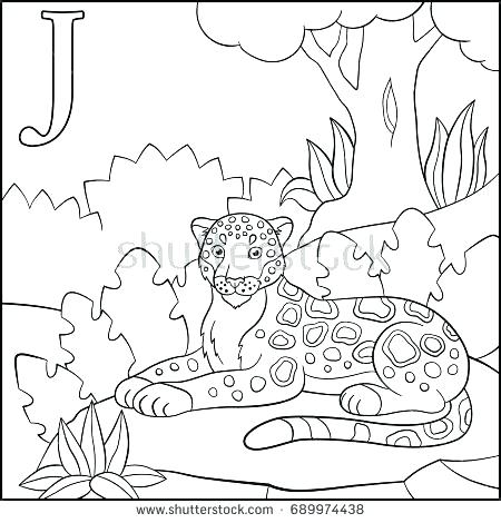 450x470 Jaguar Coloring Page Jaguar Coloring Page Printable Printable
