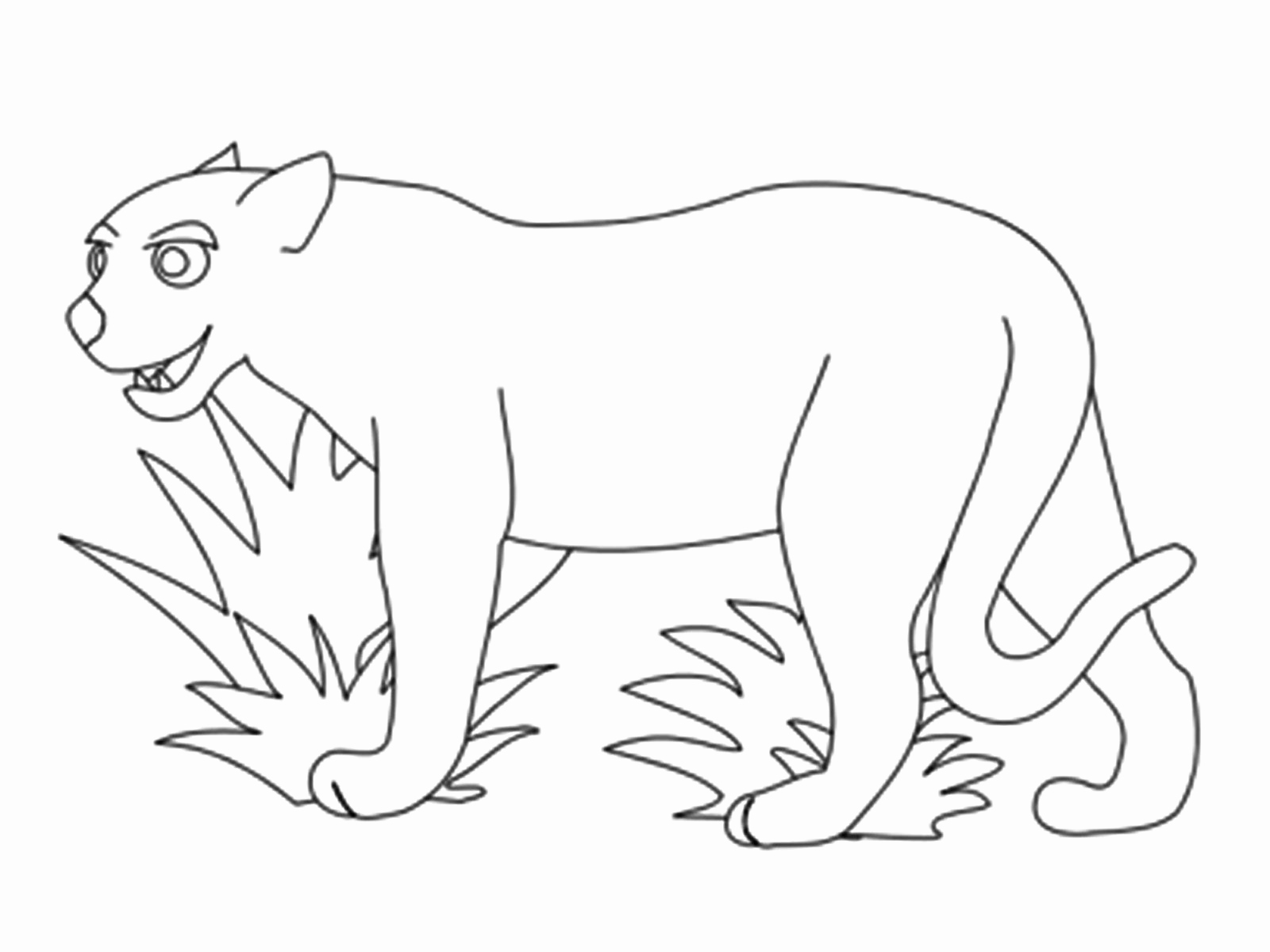 1600x1200 Jaguar Coloring Pages Lovely Fresh Wild Animal Coloring Pages