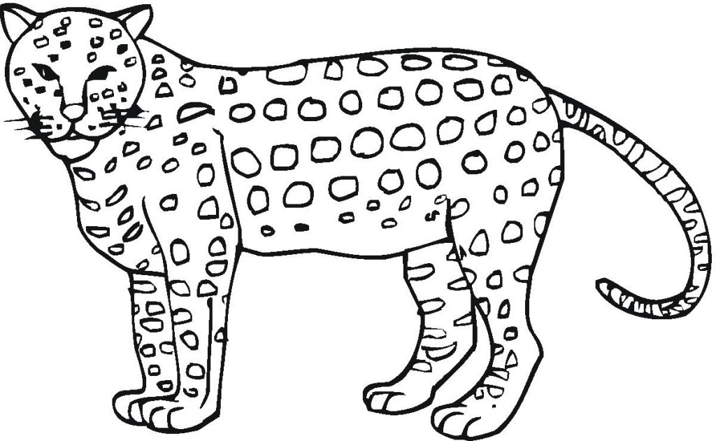1024x630 Jungle Animals Coloring Pages Elegant Jaguar Coloring Pages
