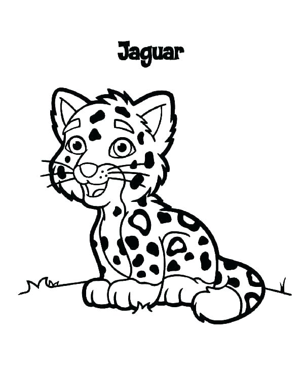 600x743 Coloring Pages Jaguar