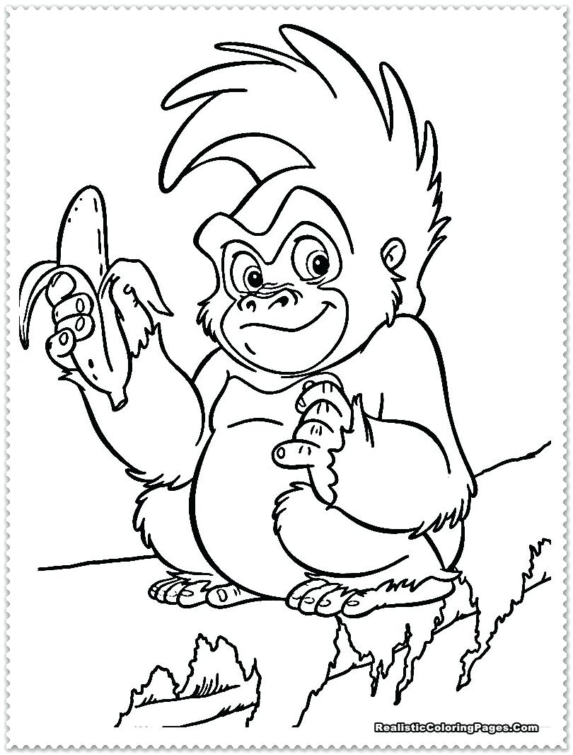 810x1066 Coloring Pages Jungle Animal Coloring Pages Drawings Of Animals