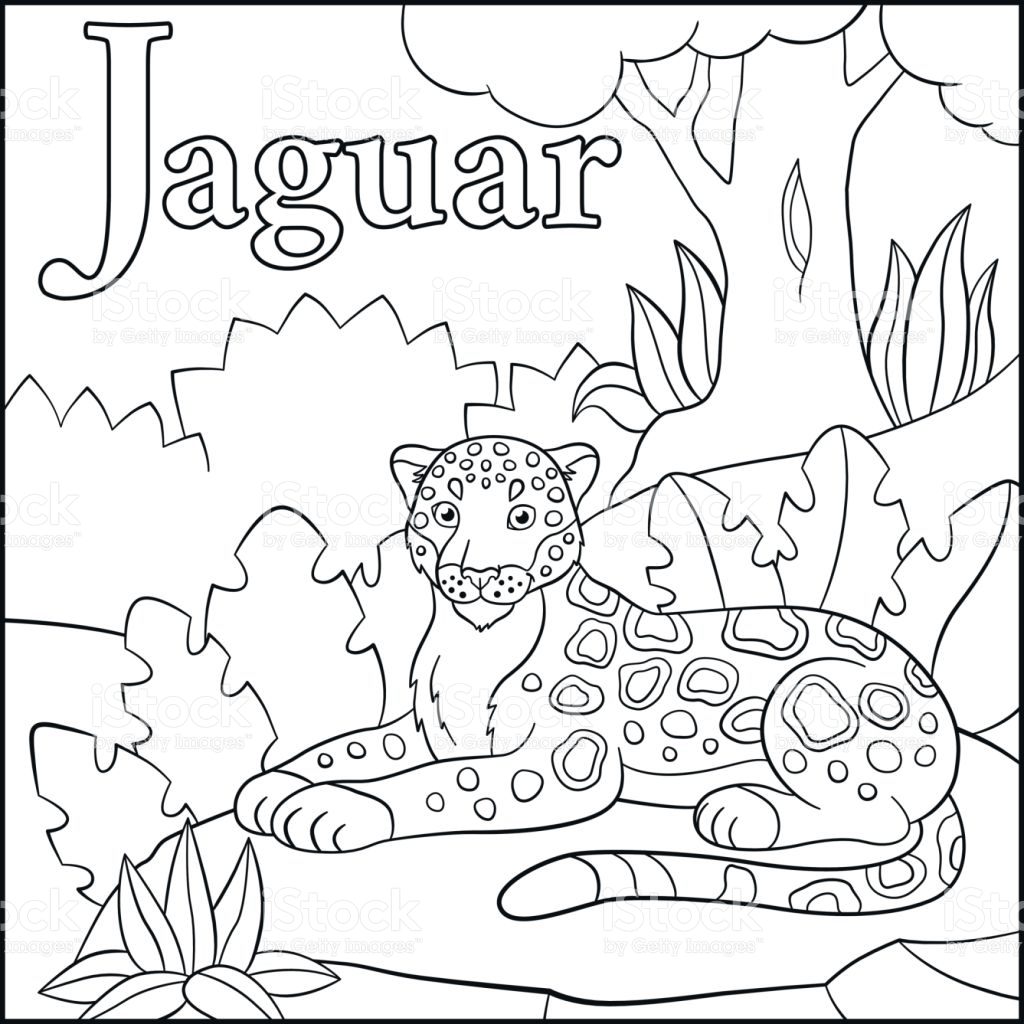 1024x1024 Cool J Is For Jaguar Coloring Page Cartoon Animals Alphabet Stock