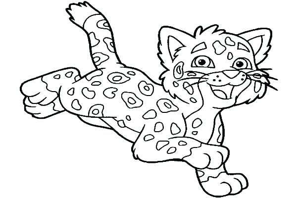 600x400 Jaguar Coloring Pages Jaguar Coloring Pages Great Page Free