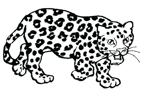 600x372 Jaguar Coloring Pages Jaguar Animal Coloring Pages Drawing Jaguar
