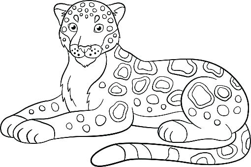 510x339 Jaguar Coloring Pages Jaguar Coloring Jaguar Coloring Pages X