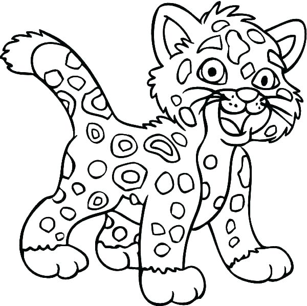 600x598 Amazing Baby Jaguar Coloring Pages With Additional Coloring
