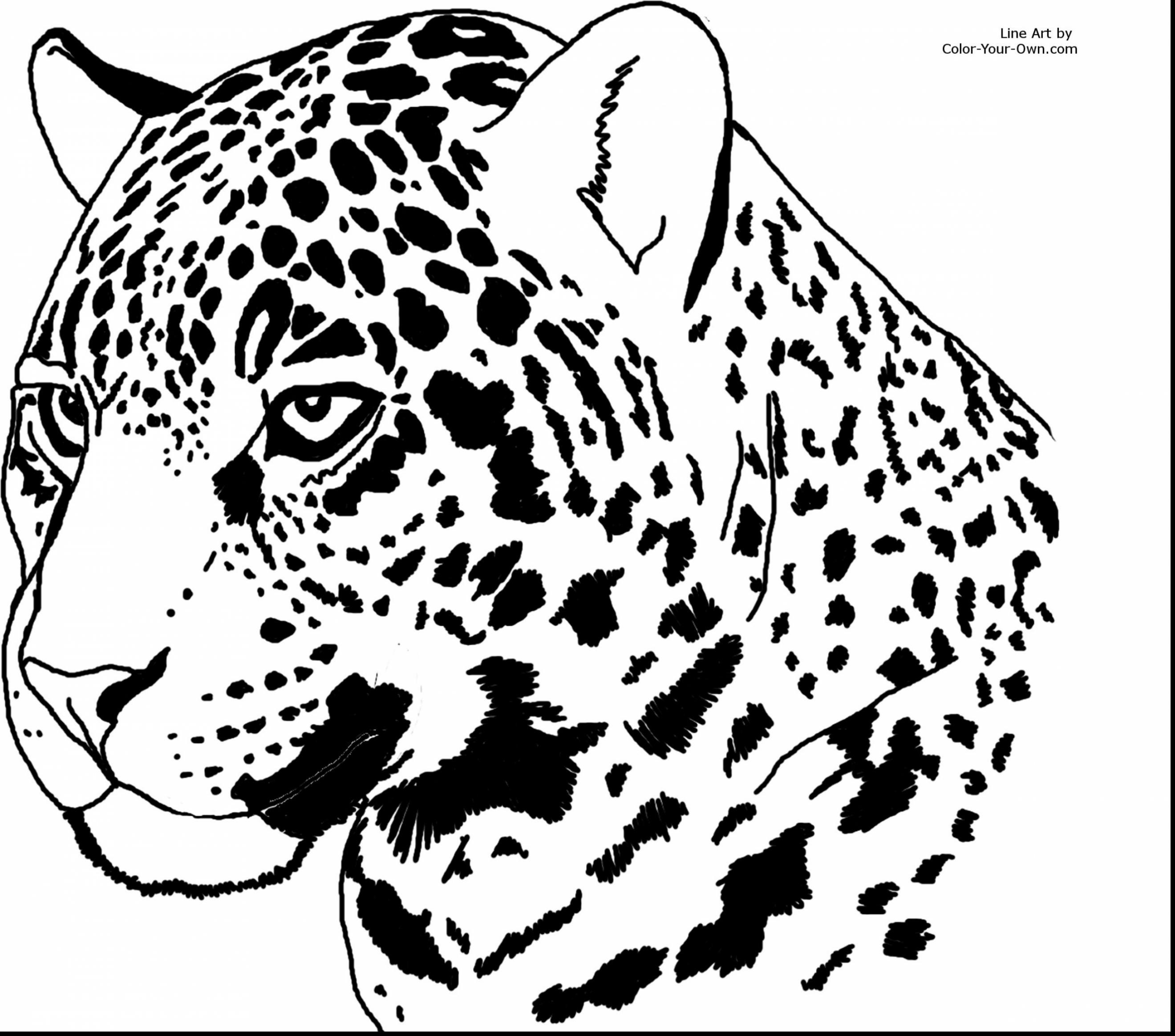 2640x2328 Ba Jaguar Coloring Pages Cheetah Easy Best Of Remarkable Arilitv