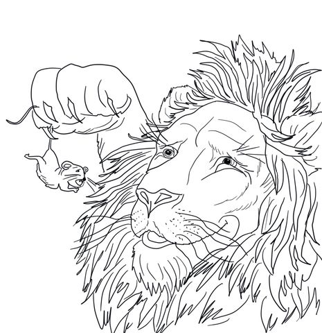 465x480 The Big Lion Caught A Tiny Mouse Coloring Page Coloring Pages
