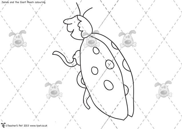 637x450 Teacher's Pet