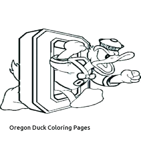 600x600 James Coloring Pages