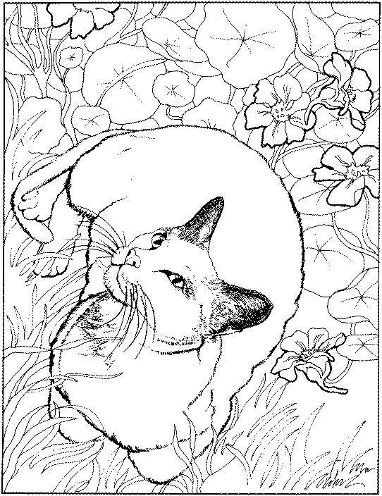 542x704 January Coloring Pages